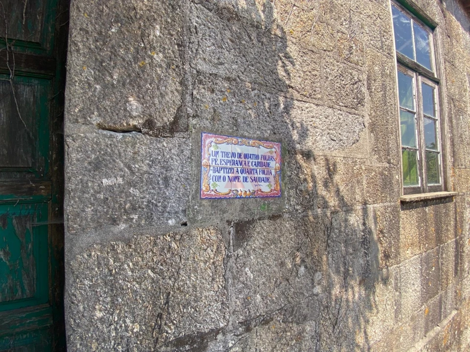 Quinta T10 para Venda em Raimonda Foto 26