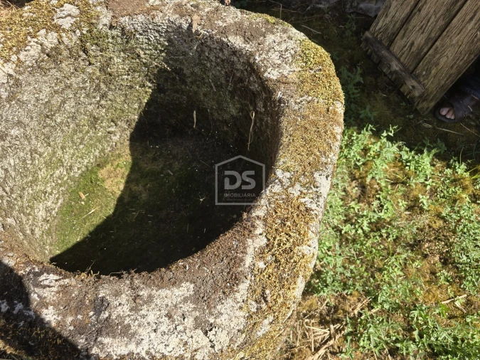 Moradia T0 para Venda em Queiriga Foto 34