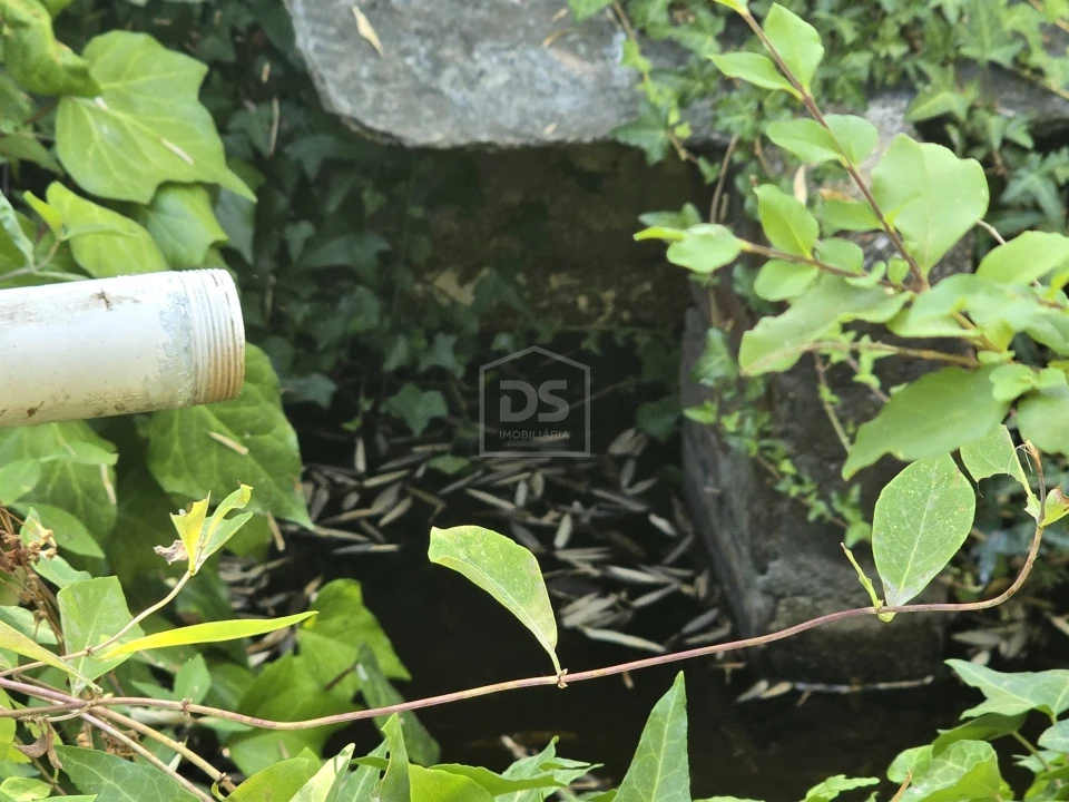 Terreno para Venda em Queiriga Foto 1