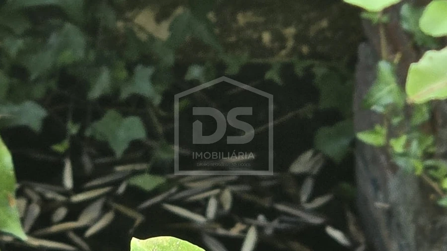 Terreno para Venda em Queiriga