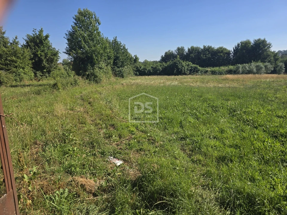 Terreno Agricola ou Rústico para Venda em Queiriga Foto 5