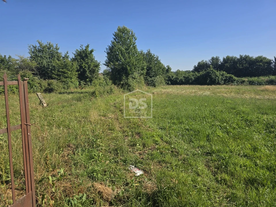 Terreno Agricola ou Rústico para Venda em Queiriga Foto 1