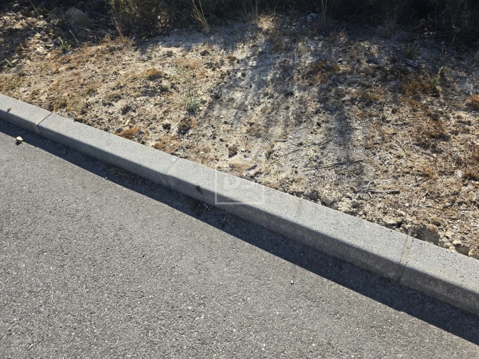 Terreno Agricola ou Rústico para Venda em Queiriga Foto 3