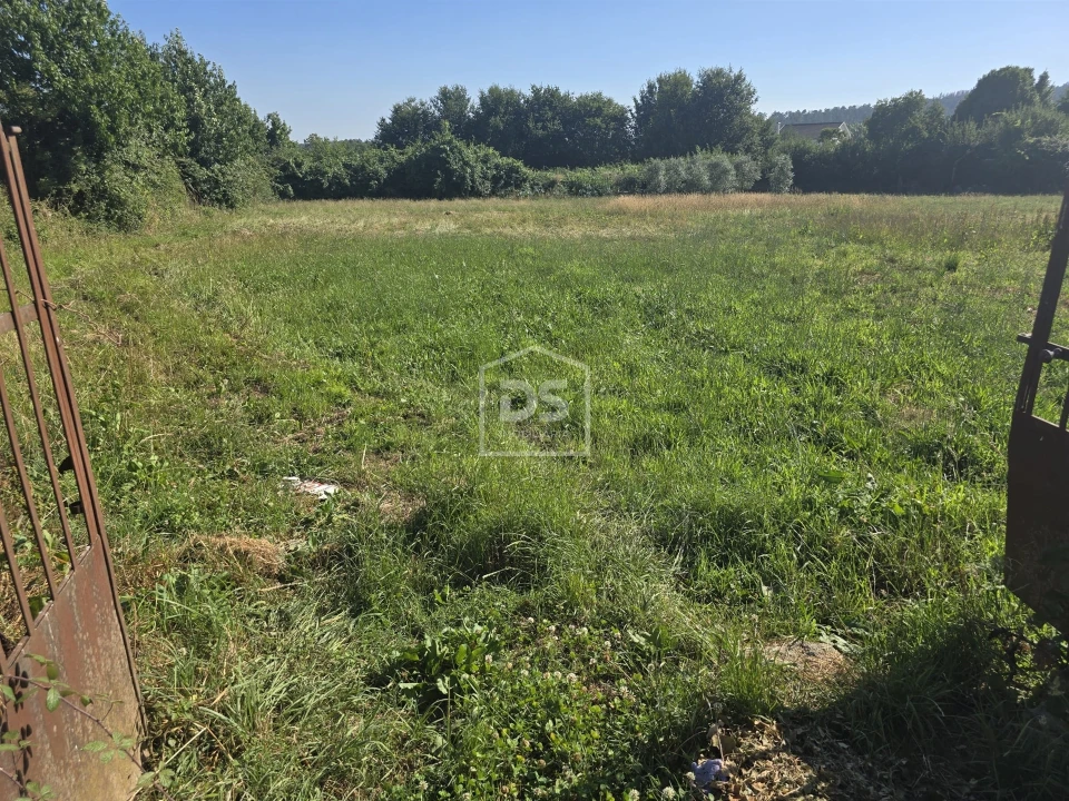 Terreno Agricola ou Rústico para Venda em Queiriga Foto 4