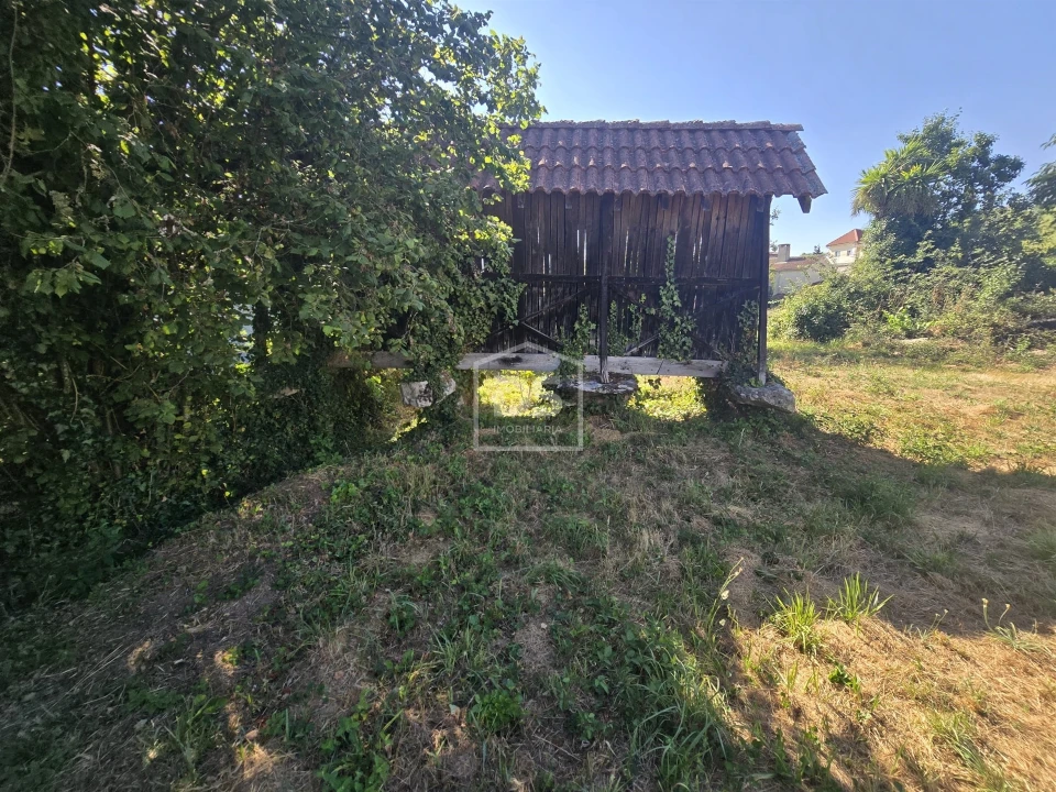 Moradia T0 para Venda em Queiriga Foto 13