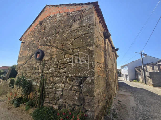 Moradia T0 para Venda em Queiriga Foto 5