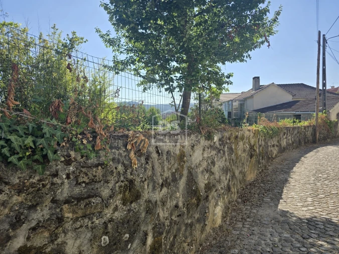 Moradia T0 para Venda em Queiriga Foto 9