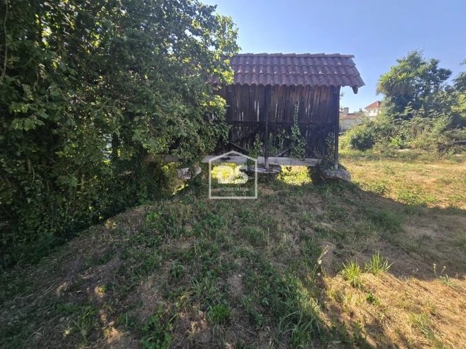 Moradia T0 para Venda em Queiriga Foto 27