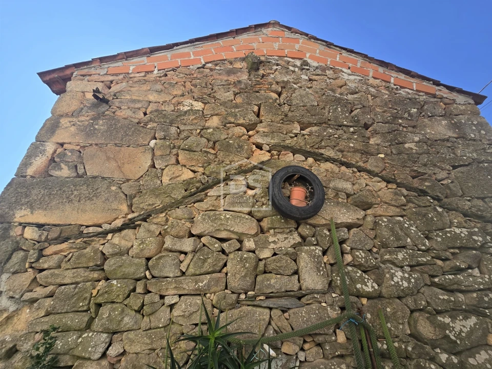 Moradia T0 para Venda em Queiriga Foto 6