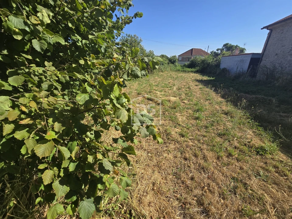 Moradia T0 para Venda em Queiriga Foto 14