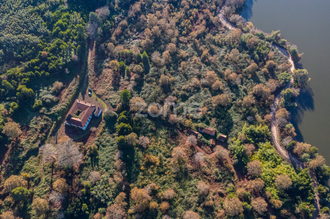 Quinta T12 para Venda em Vila Boa do Bispo Foto 33