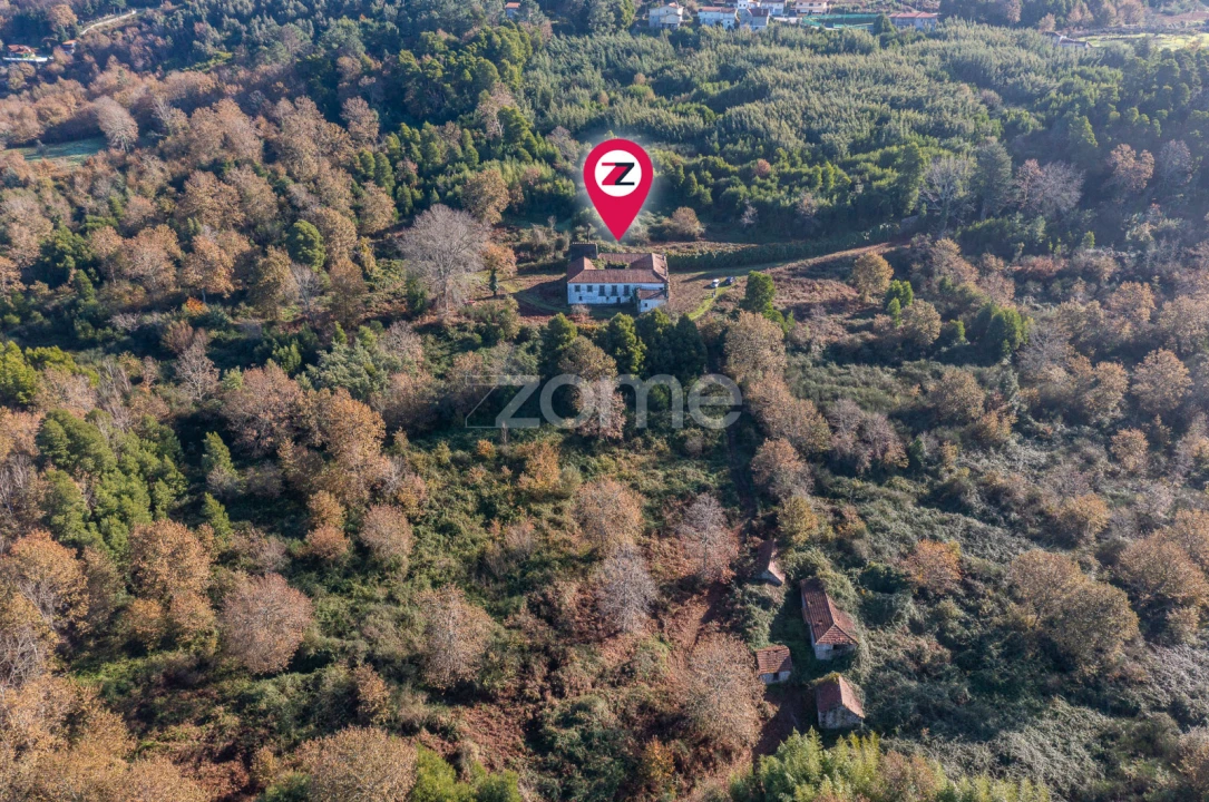 Quinta T12 para Venda em Vila Boa do Bispo Foto 34
