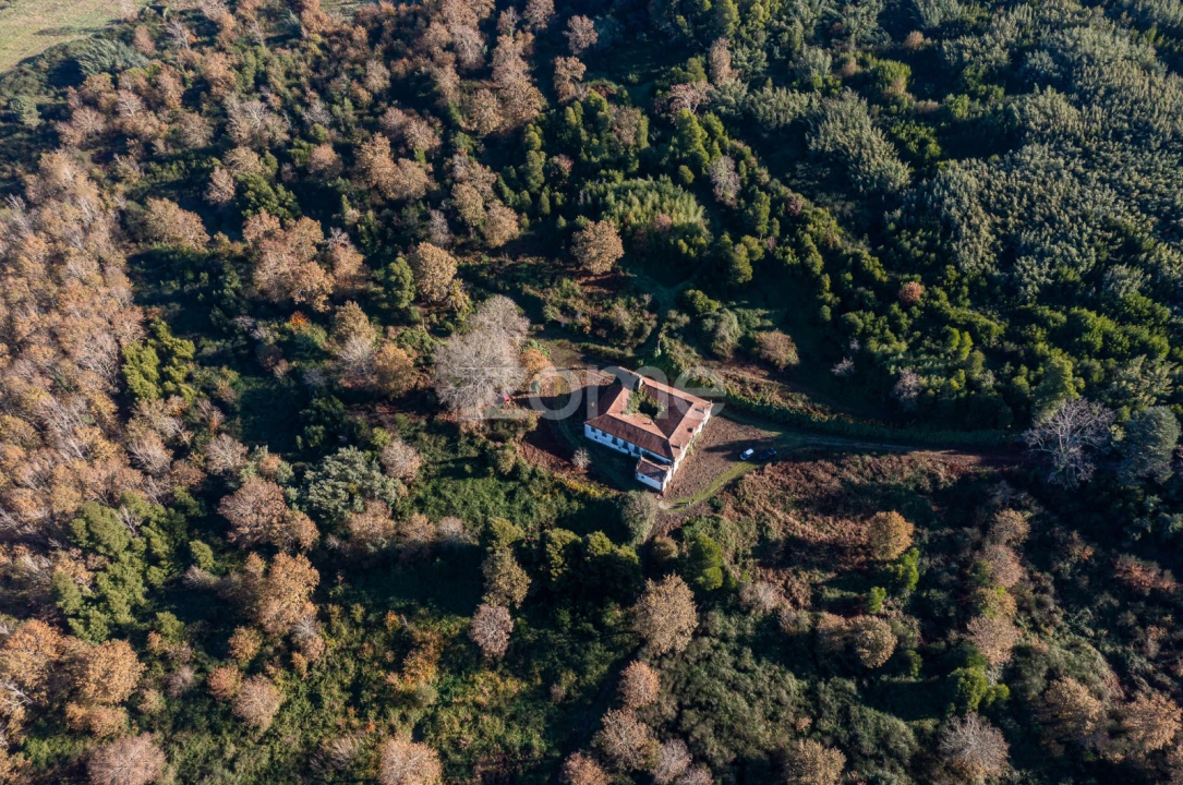 Quinta T12 para Venda em Vila Boa do Bispo Foto 43