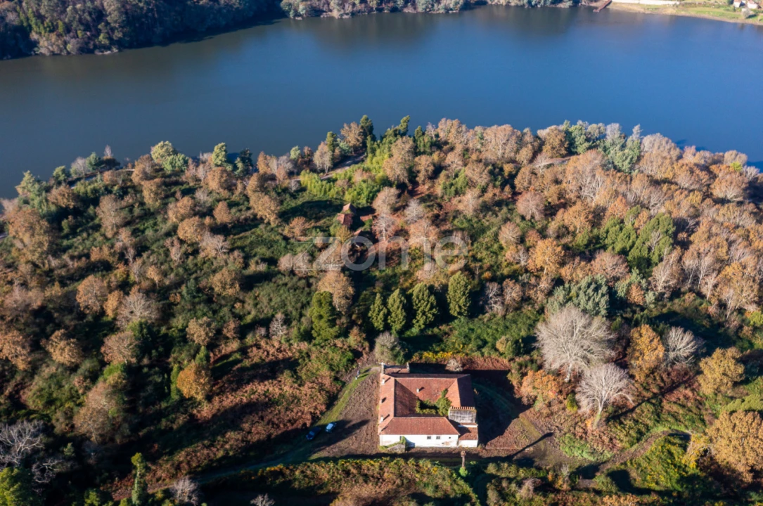 Quinta T12 para Venda em Vila Boa do Bispo Foto 46