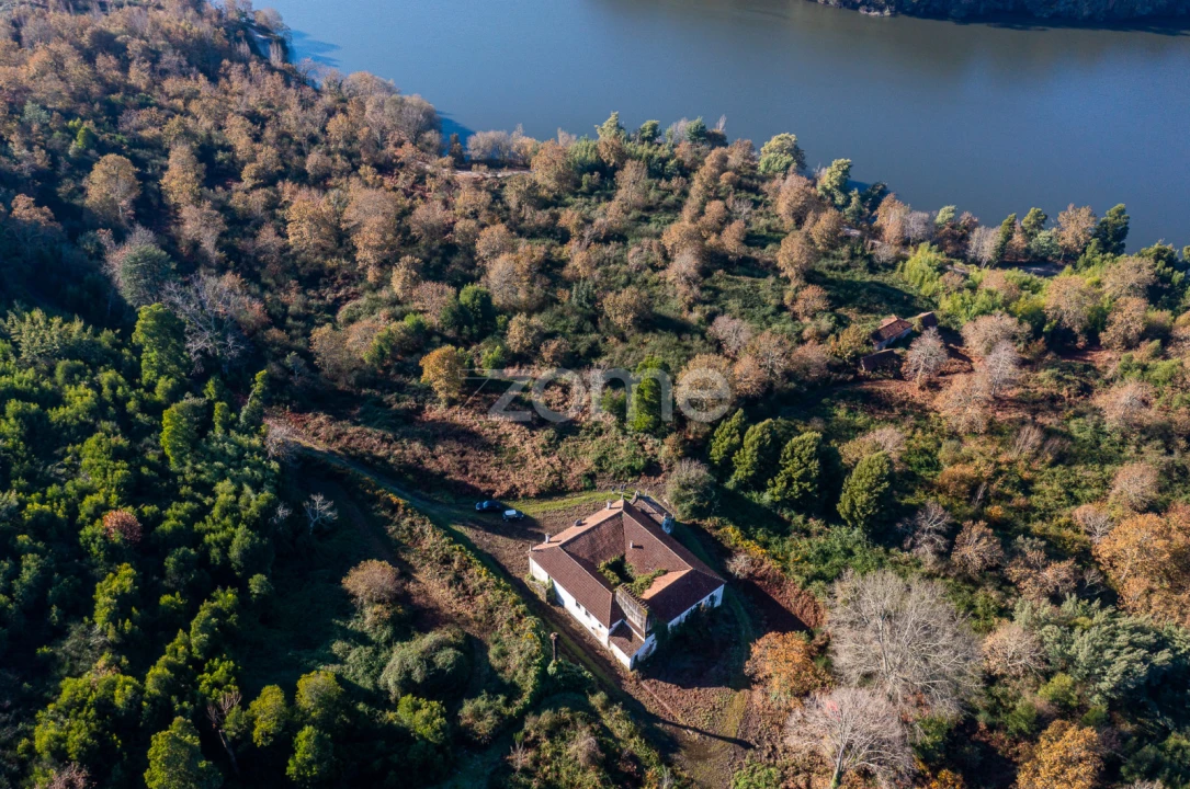 Quinta T12 para Venda em Vila Boa do Bispo Foto 47