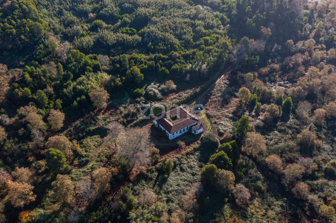 Quinta T12 para Venda em Vila Boa do Bispo Foto 49