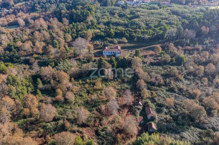 Quinta T12 para Venda em Vila Boa do Bispo Foto 35