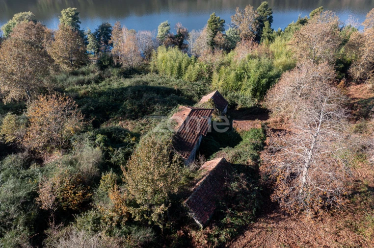Quinta T12 para Venda em Vila Boa do Bispo Foto 37