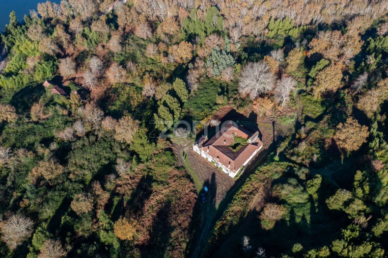 Quinta T12 para Venda em Vila Boa do Bispo Foto 45