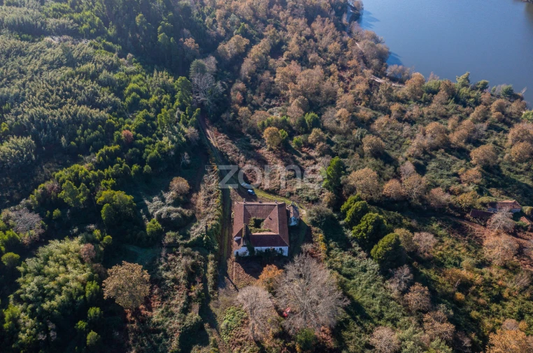 Quinta T12 para Venda em Vila Boa do Bispo Foto 48