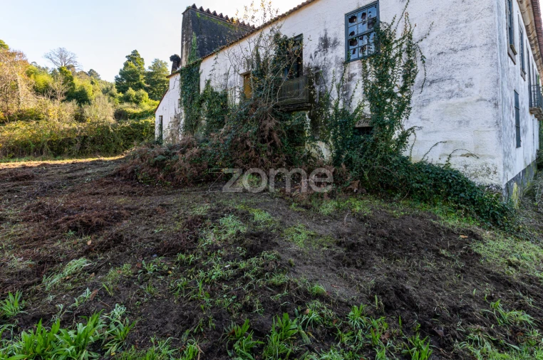 Quinta T12 para Venda em Vila Boa do Bispo Foto 54