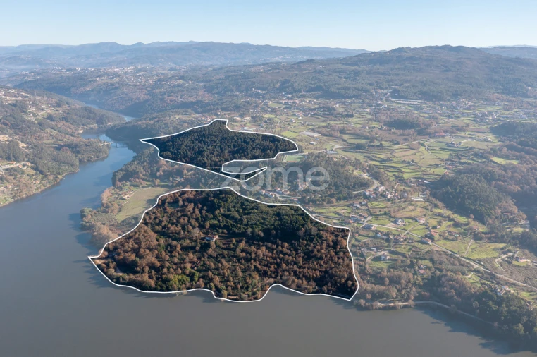 Quinta T12 para Venda em Vila Boa do Bispo Foto 2