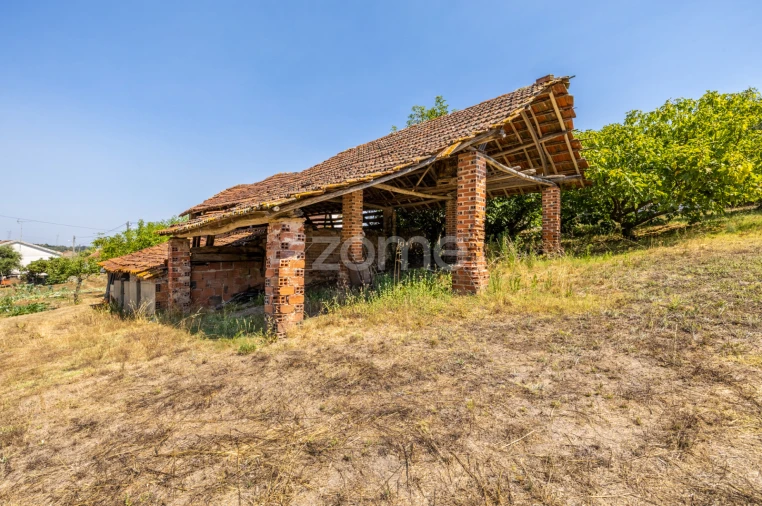 Quinta T4 para Venda em Juncal Foto 34