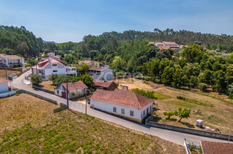 Quinta T4 para Venda em Juncal Foto 19