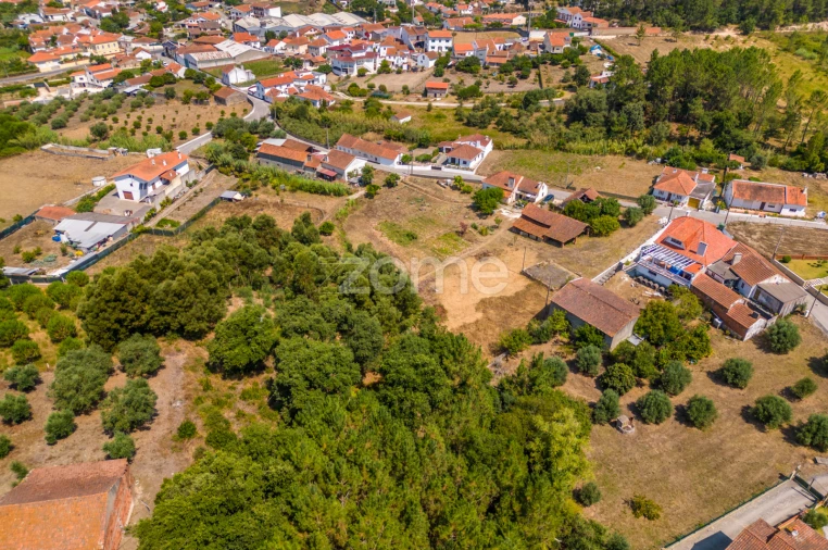 Quinta T4 para Venda em Juncal Foto 12