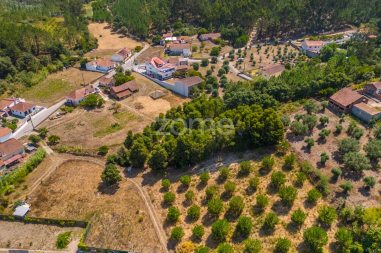 Quinta T4 para Venda em Juncal Foto 13