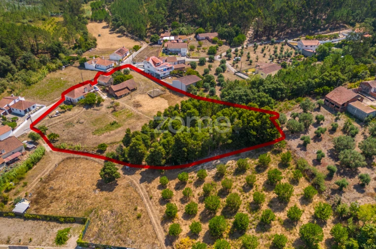 Quinta T4 para Venda em Juncal Foto 14