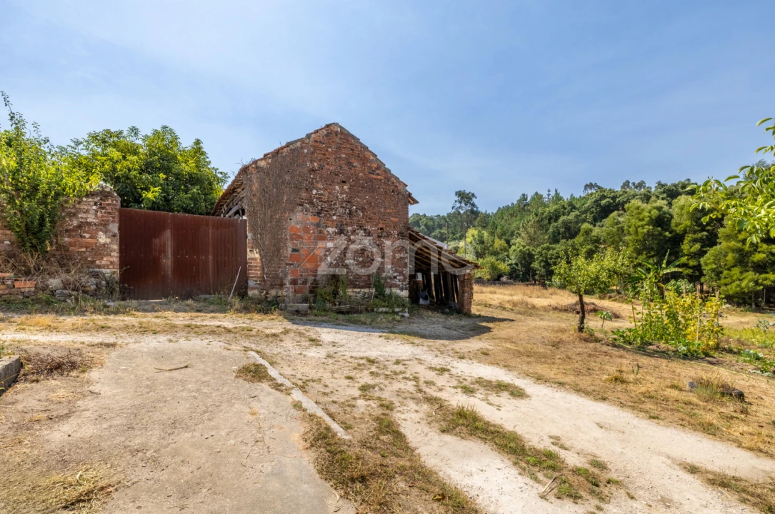 Quinta T4 para Venda em Juncal Foto 38