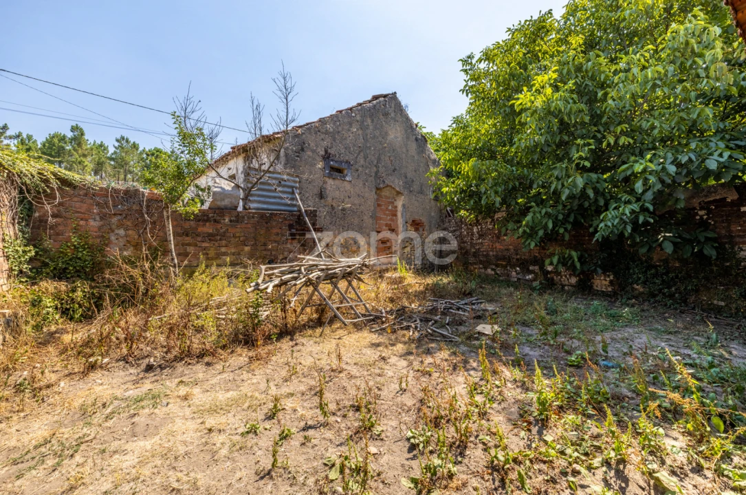 Quinta T4 para Venda em Juncal Foto 39