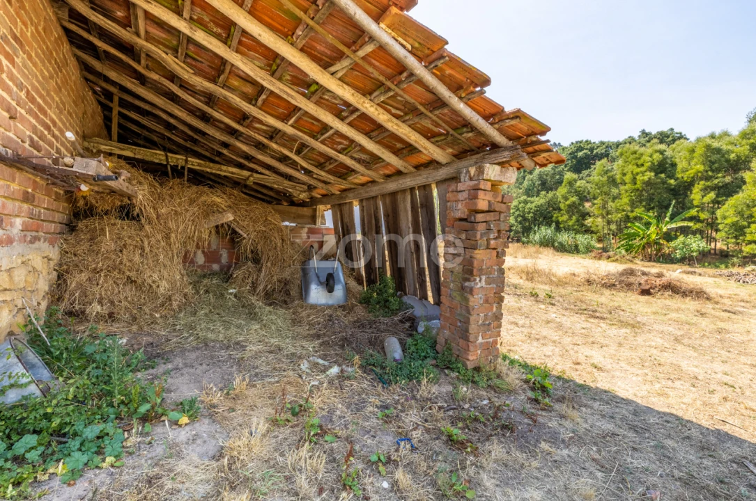 Quinta T4 para Venda em Juncal Foto 42