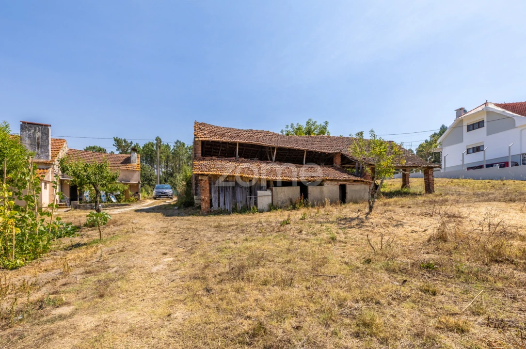 Quinta T4 para Venda em Juncal Foto 33