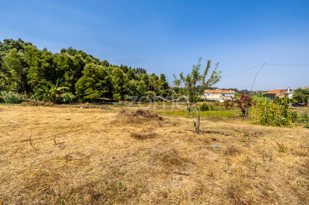 Quinta T4 para Venda em Juncal Foto 36