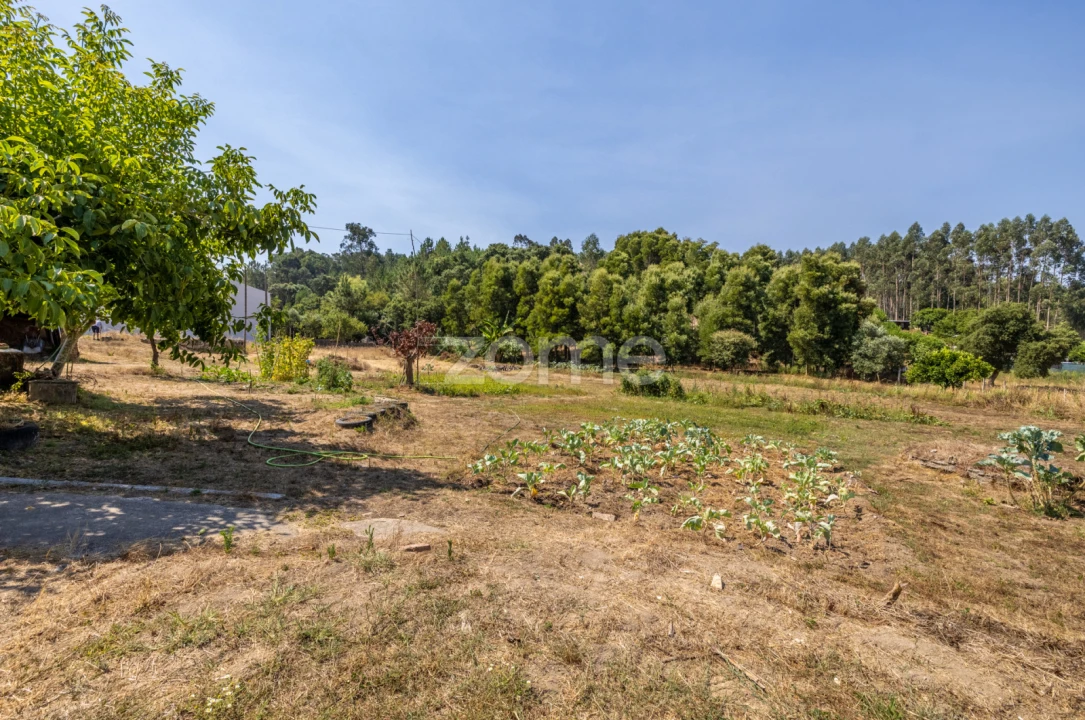 Quinta T4 para Venda em Juncal Foto 28