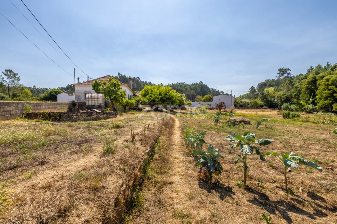 Quinta T4 para Venda em Juncal Foto 29
