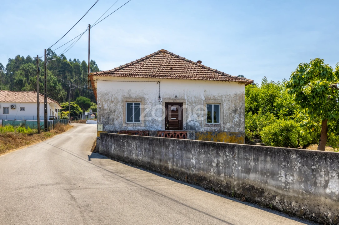 Quinta T4 para Venda em Juncal Foto 22