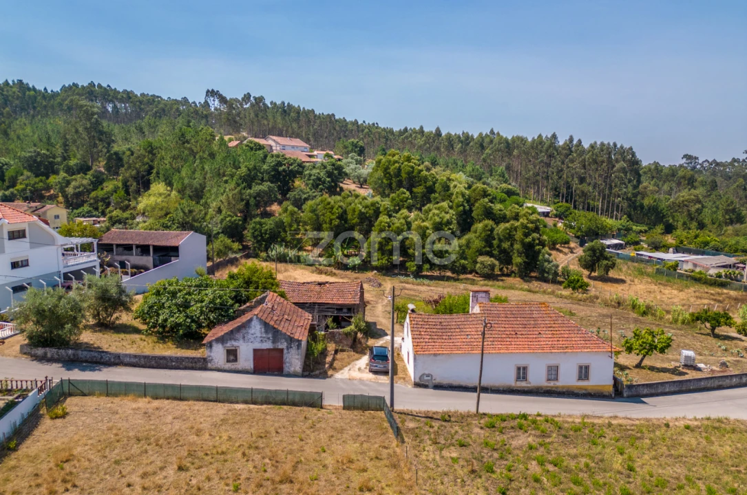Quinta T4 para Venda em Juncal Foto 23