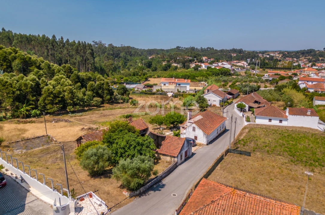 Quinta T4 para Venda em Juncal Foto 24