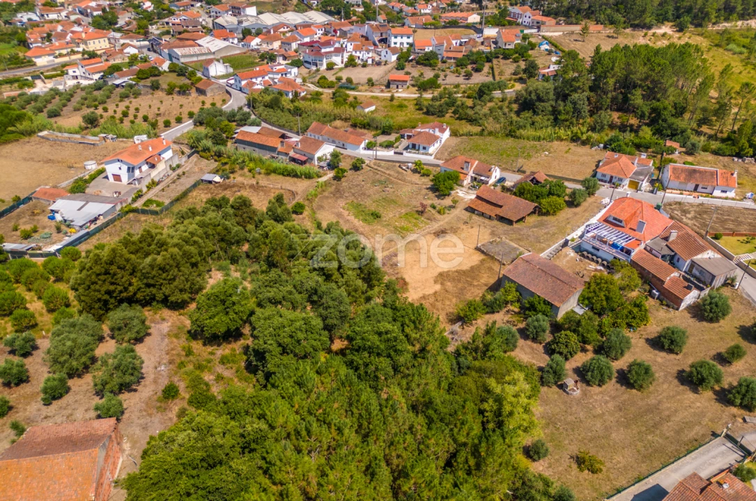 Quinta T4 para Venda em Juncal Foto 12