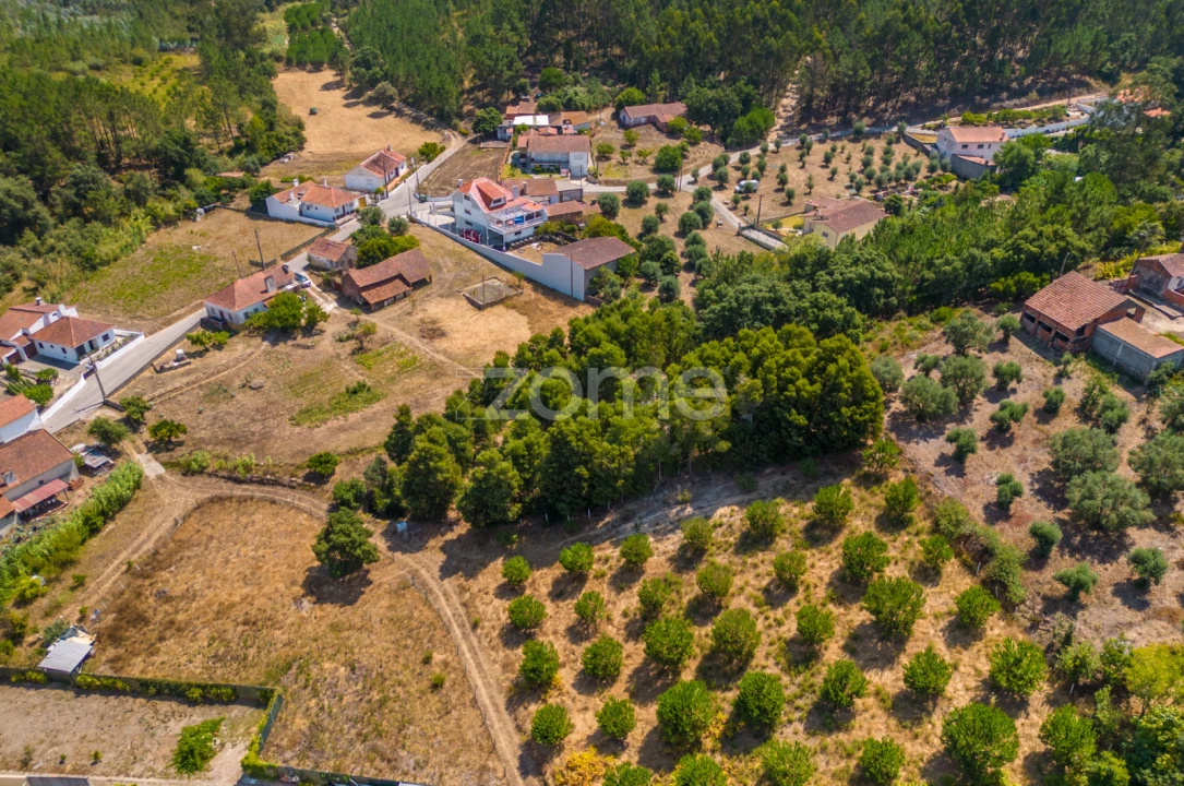 Quinta T4 para Venda em Juncal Foto 13