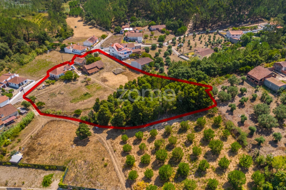 Quinta T4 para Venda em Juncal Foto 14