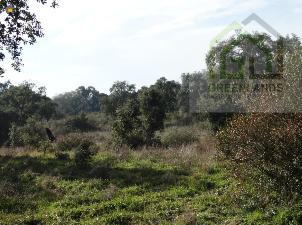 Terreno para Venda em Vila Cova de Alva e Anseriz Foto 2