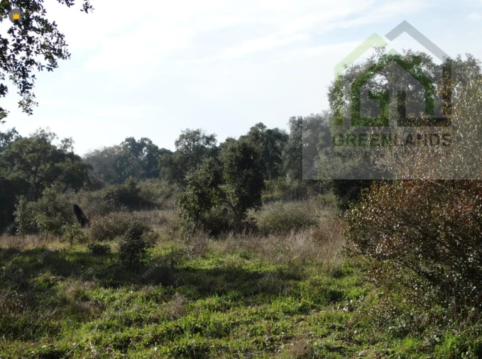 Terreno para Venda em Vila Cova de Alva e Anseriz Foto 2