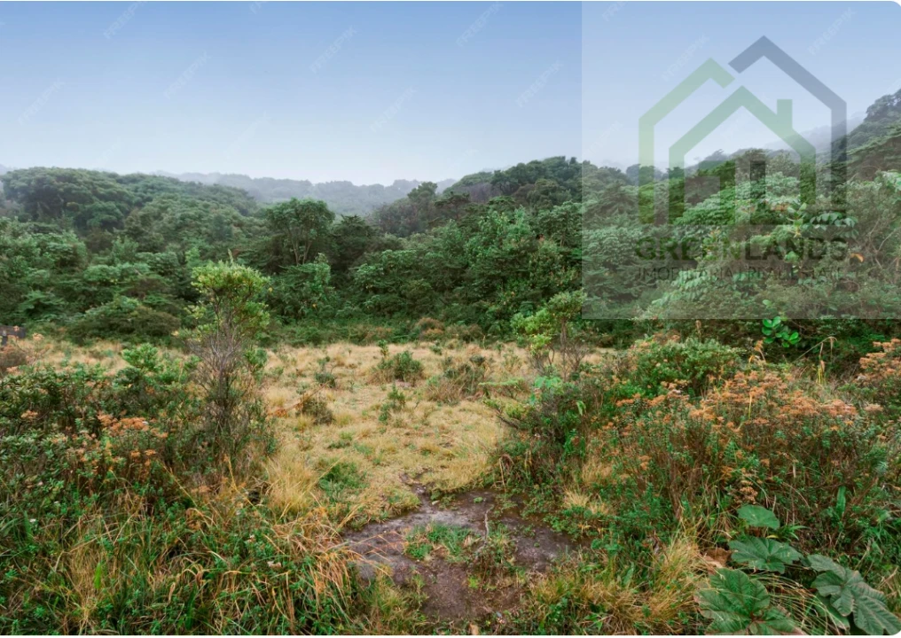 Terreno para Venda em Vila Cova de Alva e Anseriz Foto 4