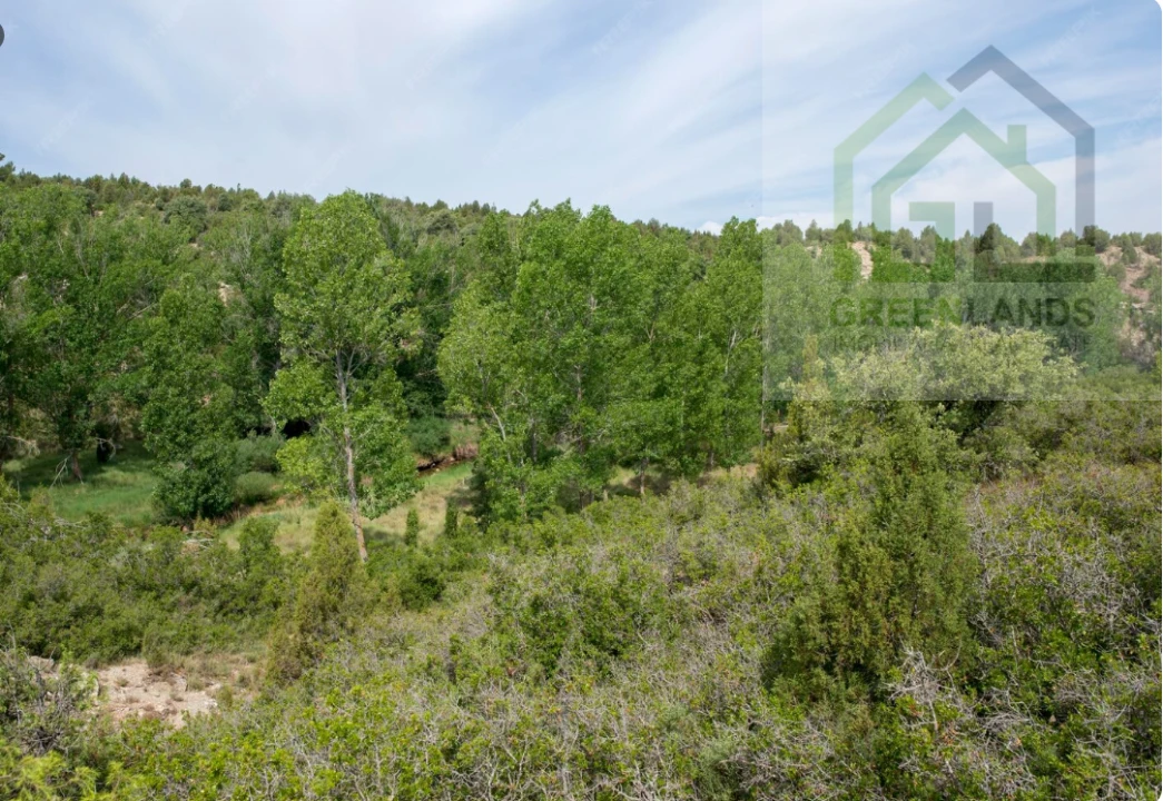 Terreno para Venda em Vila Cova de Alva e Anseriz Foto 3