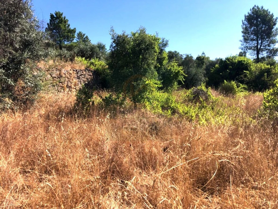 Terreno para Venda em Tinalhas Foto 1