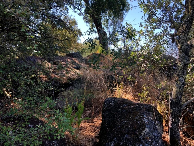 Terreno para Venda em Tinalhas Foto 4
